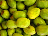 Concentrado de TUNA VERDE